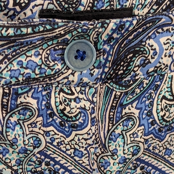 TALBOTS PETITES MODERN FIT Cotton Stretch Capri Pants Paisley Size 6 Petite - Picture 4 of 10